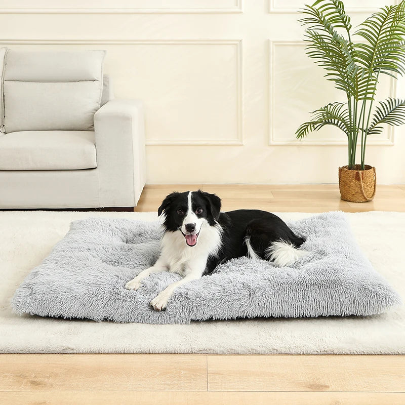 Soft Plush Dog Bed