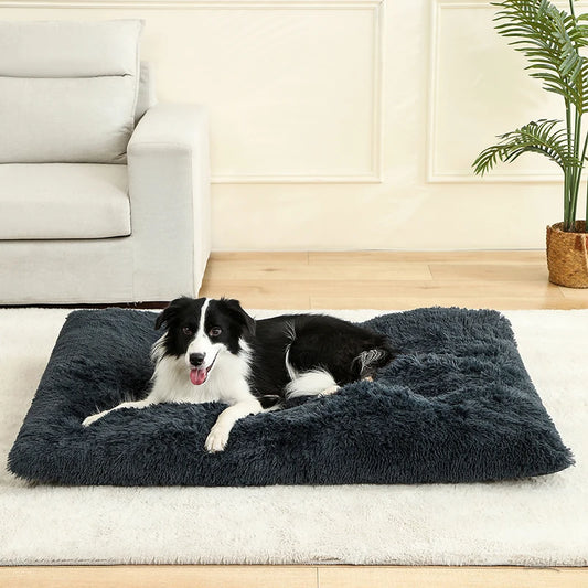 Soft Plush Dog Bed
