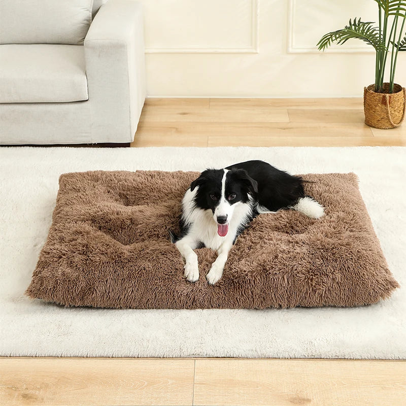 Soft Plush Dog Bed