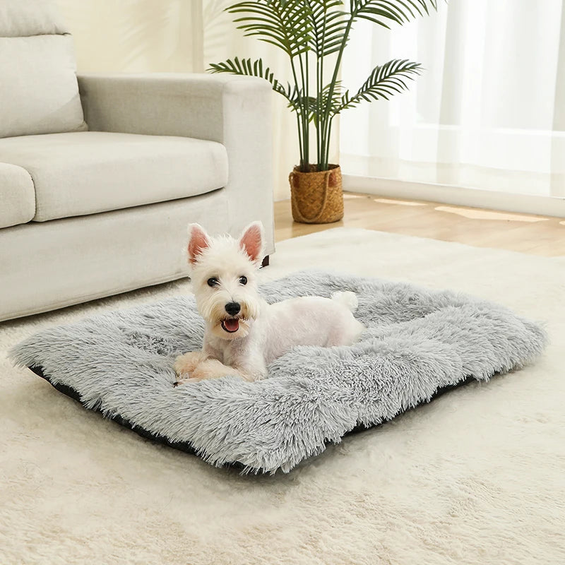 Soft Plush Dog Bed