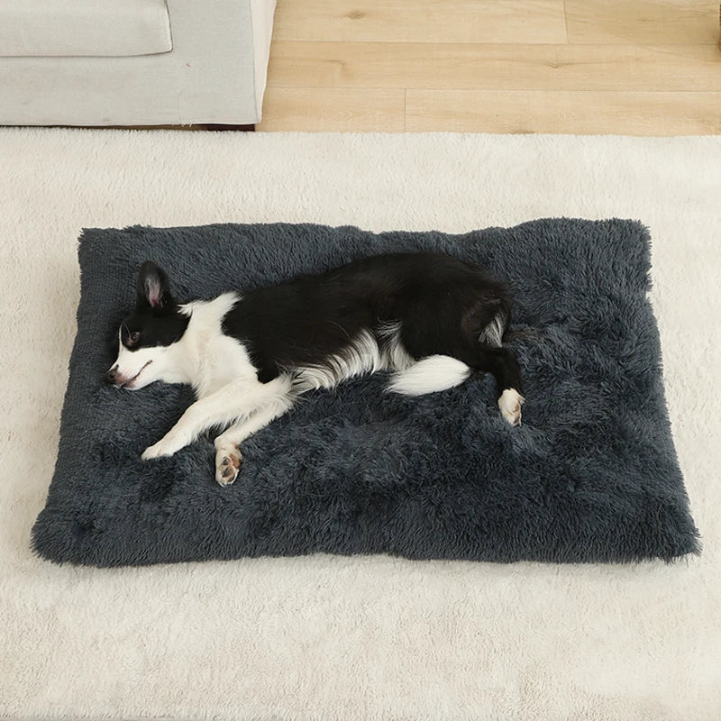 Soft Plush Dog Bed